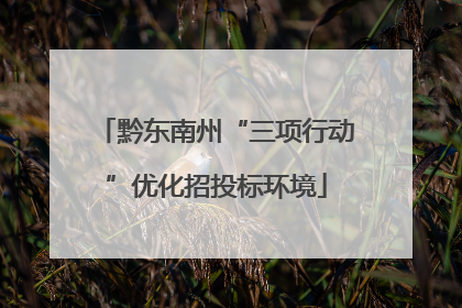 黔东南州“三项行动”优化招投标环境