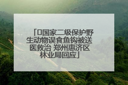 ﻿国家二级保护野生动物误食鱼钩被送医救治 郑州惠济区林业局回应