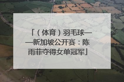 （体育）羽毛球——新加坡公开赛：陈雨菲夺得女单冠军