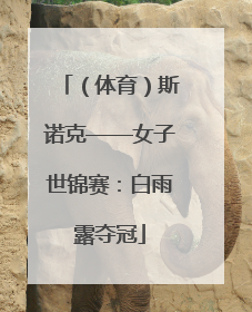 （体育）斯诺克——女子世锦赛：白雨露夺冠