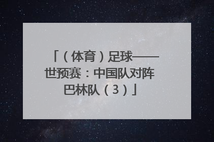 （体育）足球——世预赛：中国队对阵巴林队（3）