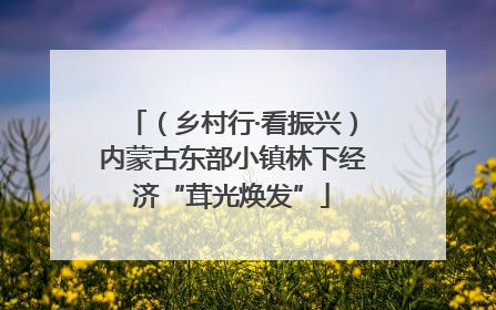 （乡村行·看振兴）内蒙古东部小镇林下经济“茸光焕发”