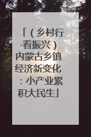 （乡村行·看振兴）内蒙古乡镇经济新变化：小产业累积大民生