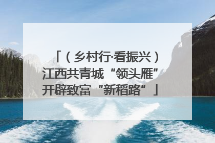 （乡村行·看振兴）江西共青城“领头雁”开辟致富“新稻路”