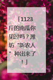 1123斤的南瓜你见过吗？潍坊“新农人”种出来了！