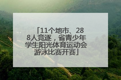 11个地市、288人竞逐，省青少年学生阳光体育运动会游泳比赛开赛