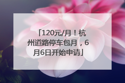 120元/月！杭州道路停车包月，6月6日开始申请