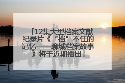 12集大型档案文献纪录片《“档”不住的记忆——聊城档案故事》将于近期播出