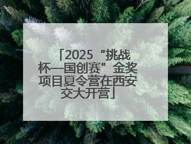 2025“挑战杯—国创赛”金奖项目夏令营在西安交大开营
