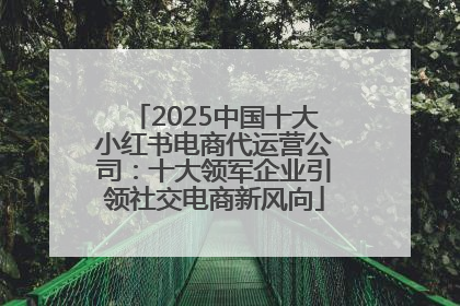 2025中国十大小红书电商代运营公司：十大领军企业引领社交电商新风向