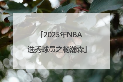 2025年NBA选秀球员之杨瀚森