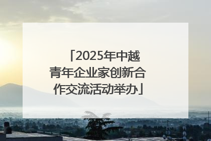 2025年中越青年企业家创新合作交流活动举办