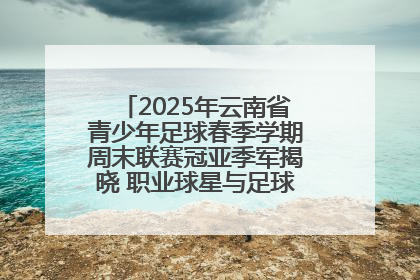 2025年云南省青少年足球春季学期周末联赛冠亚季军揭晓 职业球星与足球小将共享荣耀时刻