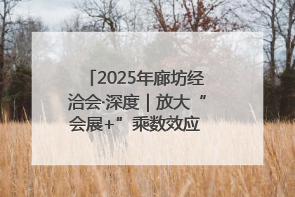 2025年廊坊经洽会·深度｜放大“会展+”乘数效应 打造消费新场景