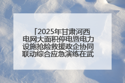2025年甘肃河西电网大面积停电暨电力设施抢险救援政企协同联动综合应急演练在武威成功举行