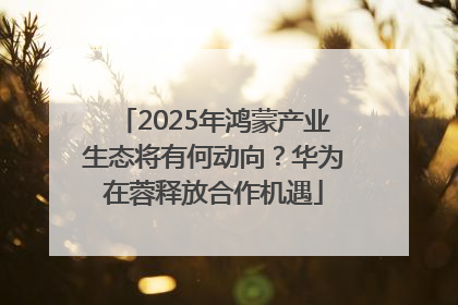 2025年鸿蒙产业生态将有何动向？华为在蓉释放合作机遇
