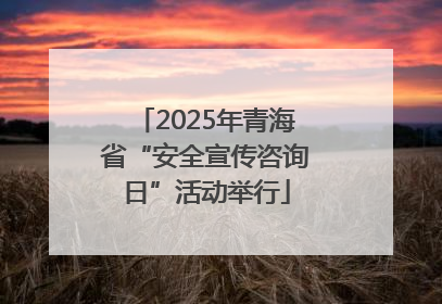 2025年青海省“安全宣传咨询日”活动举行