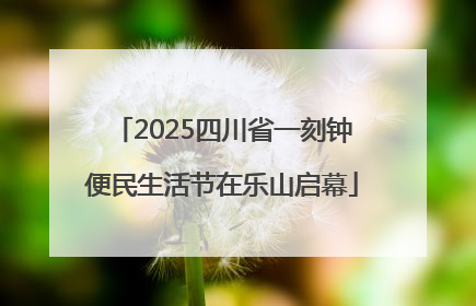 2025四川省一刻钟便民生活节在乐山启幕