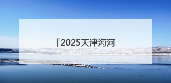 2025天津海河国际龙舟赛举行