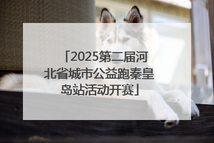 2025第二届河北省城市公益跑秦皇岛站活动开赛