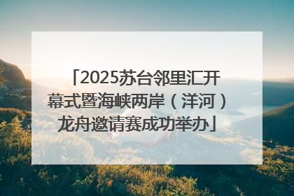 2025苏台邻里汇开幕式暨海峡两岸（洋河）龙舟邀请赛成功举办