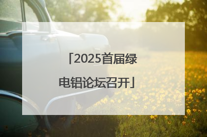 2025首届绿电铝论坛召开