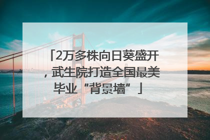 2万多株向日葵盛开，武生院打造全国最美毕业“背景墙”