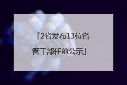 2省发布13位省管干部任前公示