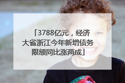 3788亿元，经济大省浙江今年新增债务限额同比涨两成