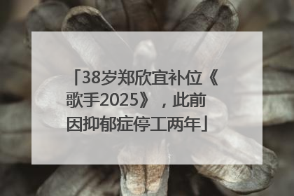 38岁郑欣宜补位《歌手2025》，此前因抑郁症停工两年
