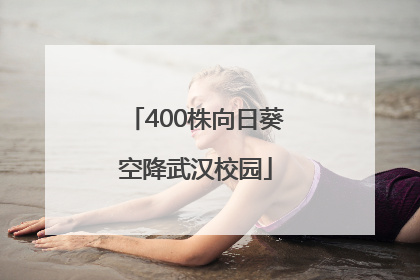 400株向日葵空降武汉校园