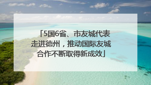 5国6省、市友城代表走进德州，推动国际友城合作不断取得新成效
