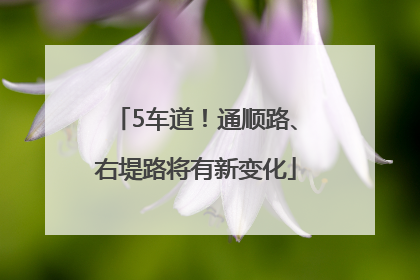5车道！通顺路、右堤路将有新变化