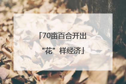 70亩百合开出“花”样经济