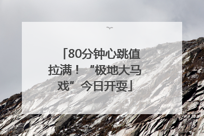 80分钟心跳值拉满！“极地大马戏”今日开耍