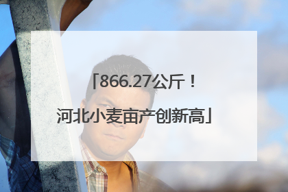 866.27公斤！河北小麦亩产创新高