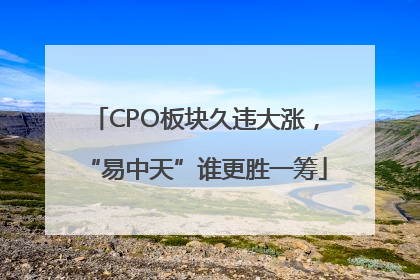 CPO板块久违大涨，“易中天”谁更胜一筹