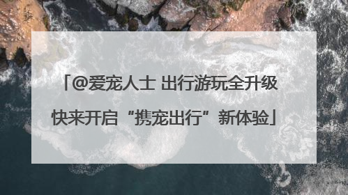@爱宠人士 出行游玩全升级 快来开启“携宠出行”新体验