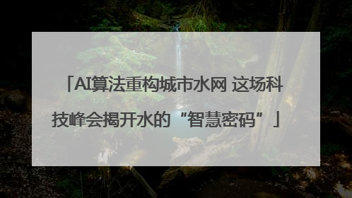 AI算法重构城市水网 这场科技峰会揭开水的“智慧密码”