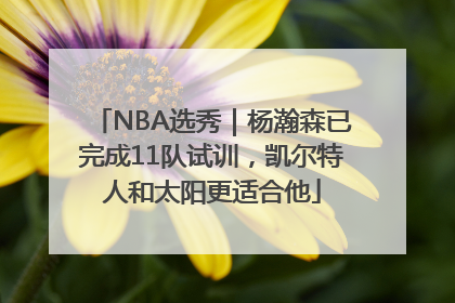 NBA选秀｜杨瀚森已完成11队试训，凯尔特人和太阳更适合他