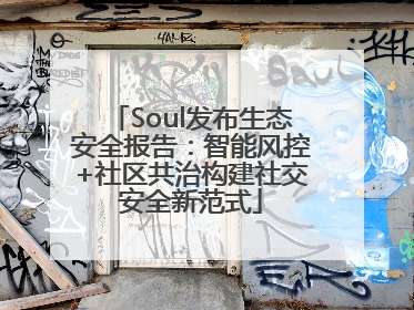 Soul发布生态安全报告：智能风控+社区共治构建社交安全新范式